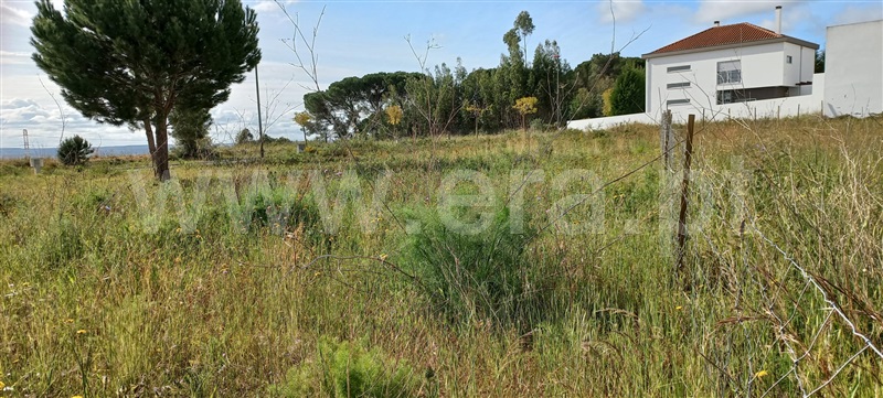 Lote  Torres Novas, Meia Via - 1241131 - 5