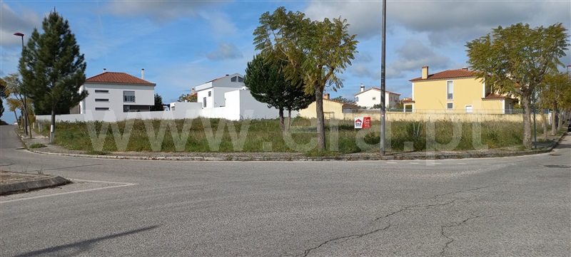 Lote / Torres Novas, Meia Via