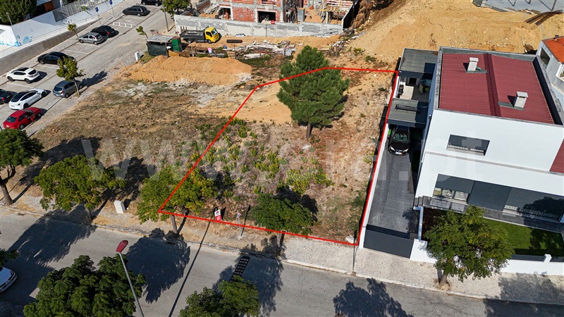 Lote / Torres Novas, Meia Via