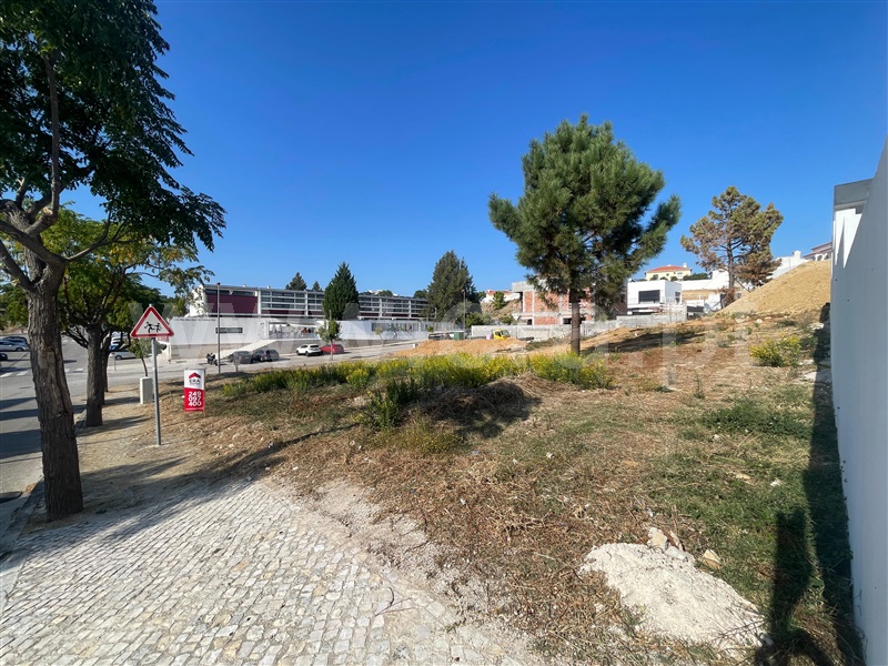 Lote  com Urbano Torres Novas, Meia Via - 1504669 - 18