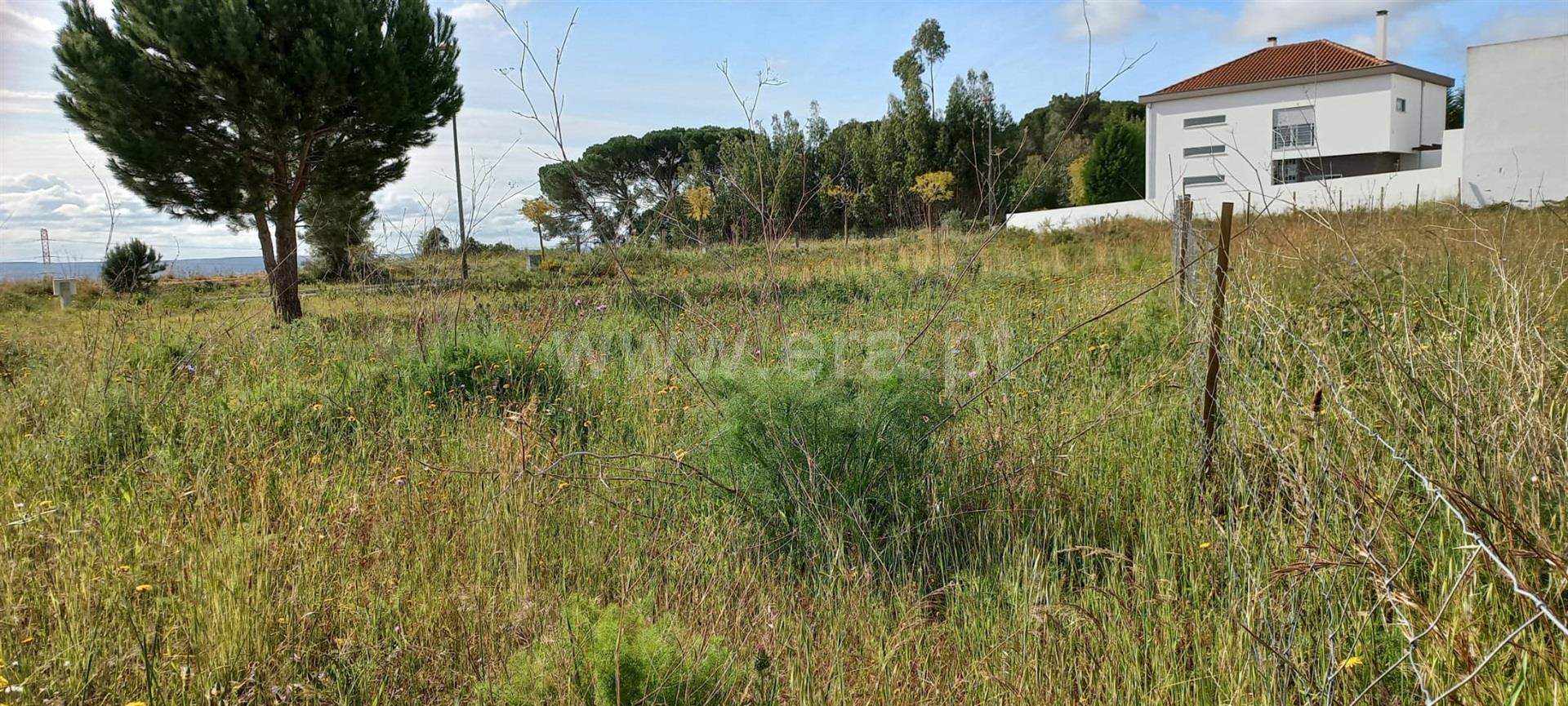Land for sale in Torres Novas, Portugal — €79,000