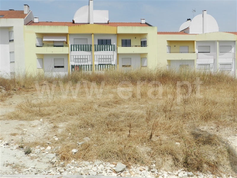 Lote / Torres Novas, TNV - Silvã