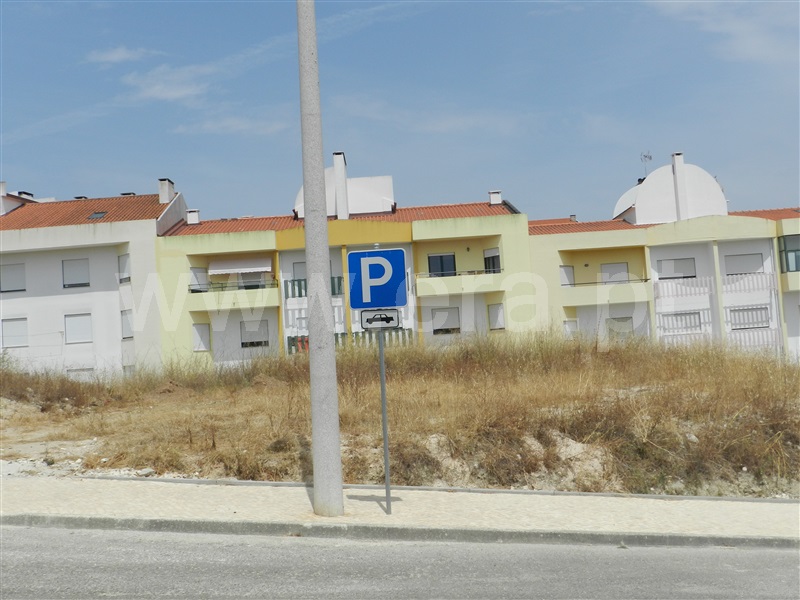 Lote  Torres Novas, TNV - Silvã - 1255106 - 3