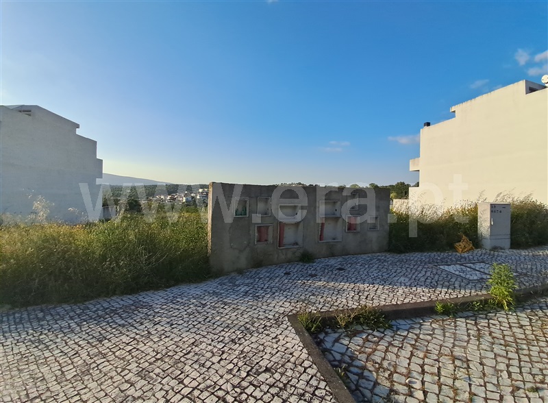Lote / Torres Novas, TNV - Silvã