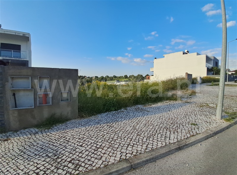 Lote / Torres Novas, TNV - Silvã