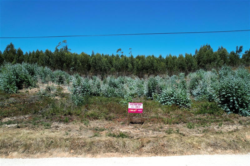 Lote / Torres Vedras, Campelos e Outeiro da Cabeça