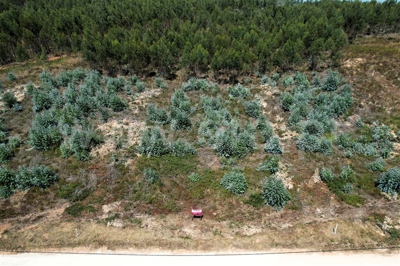 Lote  Torres Vedras, Outeiro da Cabeça - 1497590 - 3