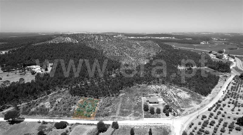 Lote  Torres Vedras, Outeiro da Cabeça - 1497590 - 7
