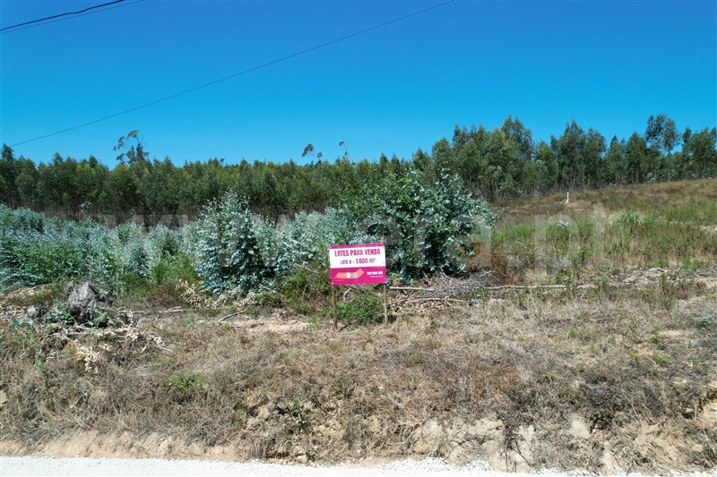 Lote / Torres Vedras, Campelos e Outeiro da Cabeça