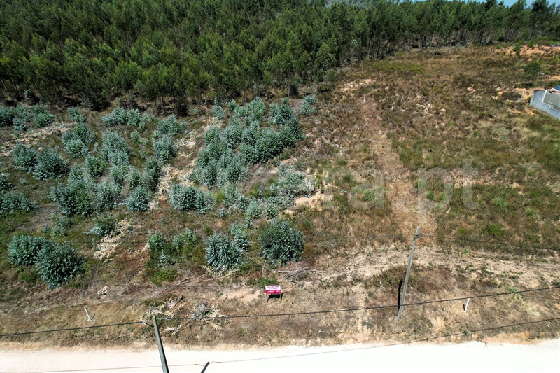 Lote  Torres Vedras, Outeiro da Cabeça - 1497600 - 2