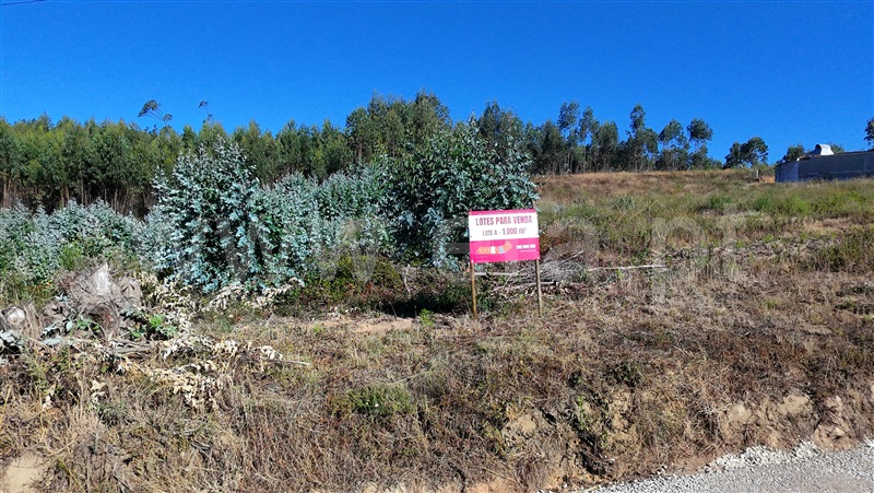 Lote  Torres Vedras, Outeiro da Cabeça - 1497600 - 3