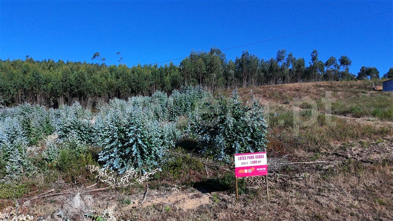 Lote  Torres Vedras, Outeiro da Cabeça - 1497600 - 4