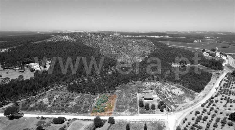 Lote  Torres Vedras, Outeiro da Cabeça - 1497600 - 7