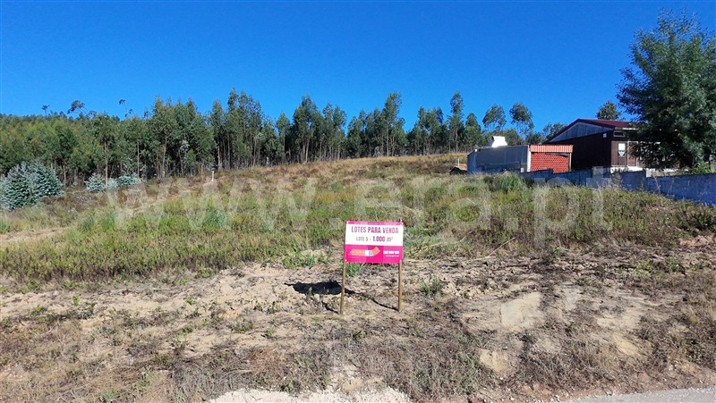 Lote / Torres Vedras, Campelos e Outeiro da Cabeça