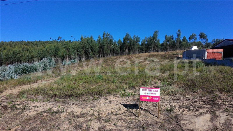 Lote  Torres Vedras, Outeiro da Cabeça - 1497606 - 3