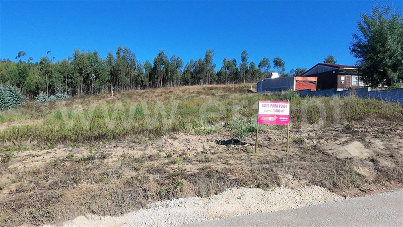 Lote  Torres Vedras, Outeiro da Cabeça - 1497606 - 4