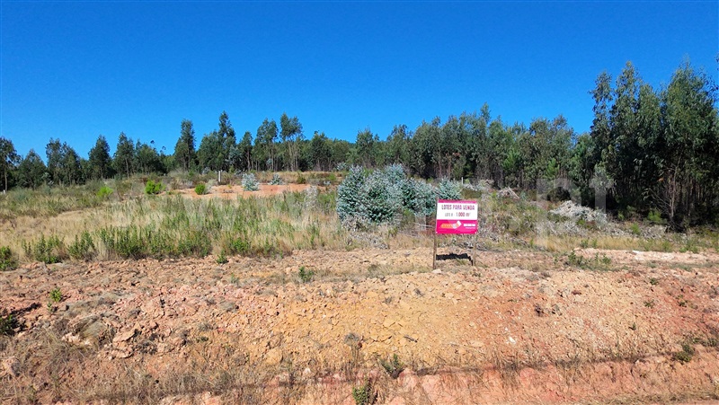 Lote / Torres Vedras, Campelos e Outeiro da Cabeça