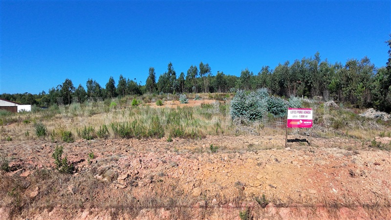 Lote  Torres Vedras, Outeiro da Cabeça - 1497615 - 3