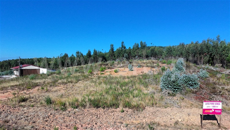 Lote  Torres Vedras, Outeiro da Cabeça - 1497615 - 4