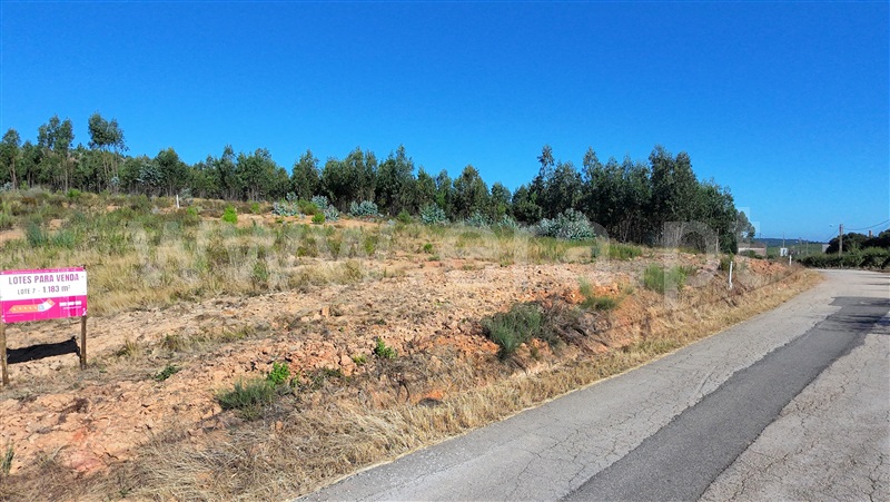 Lote  Torres Vedras, Outeiro da Cabeça - 1497623 - 4