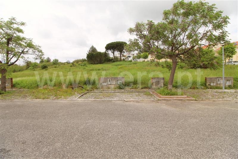 Lote / Torres Vedras, Dois Portos e Runa