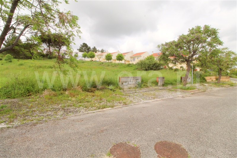 Lote  Torres Vedras, Dois Portos e Runa - 1479834 - 2