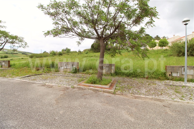 Lote  Torres Vedras, Dois Portos e Runa - 1479834 - 3