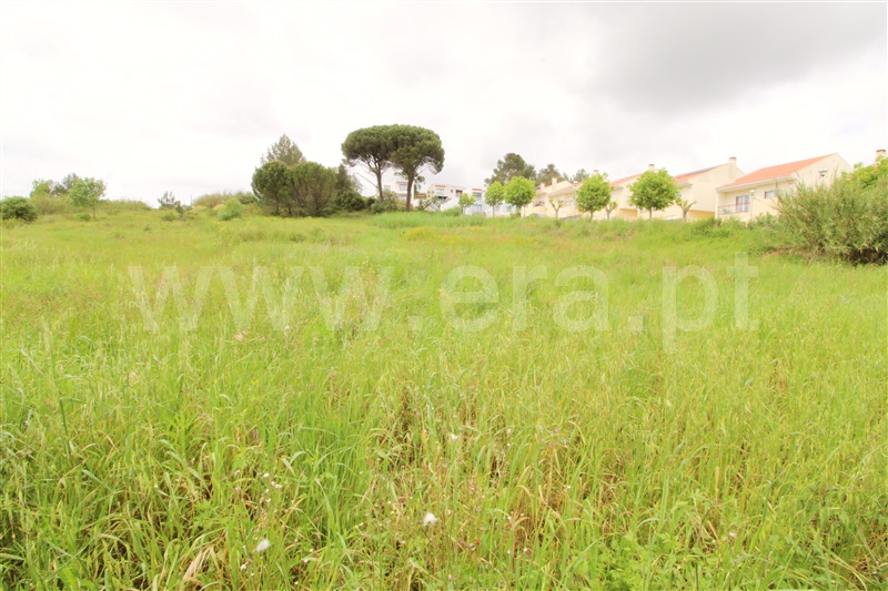 Lote  Torres Vedras, Dois Portos e Runa - 1479834 - 4