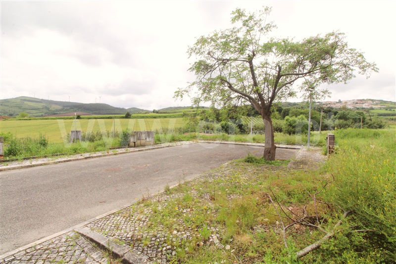 Lote  Torres Vedras, Dois Portos e Runa - 1479834 - 6