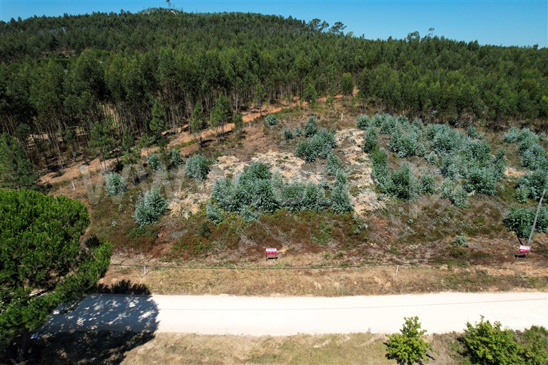 Lote / Torres Vedras, Outeiro da Cabeça