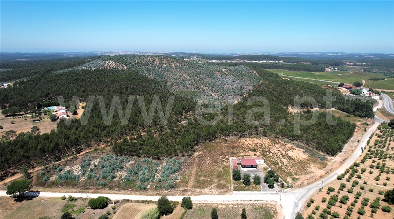 Lote  Torres Vedras, Outeiro da Cabeça - 1496687 - 4
