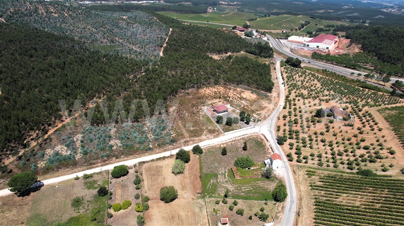 Lote  Torres Vedras, Outeiro da Cabeça - 1496687 - 6