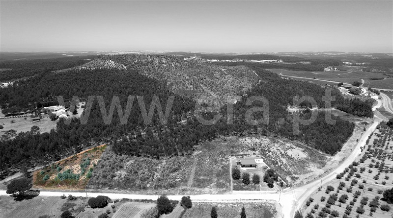 Lote  Torres Vedras, Outeiro da Cabeça - 1496687 - 7