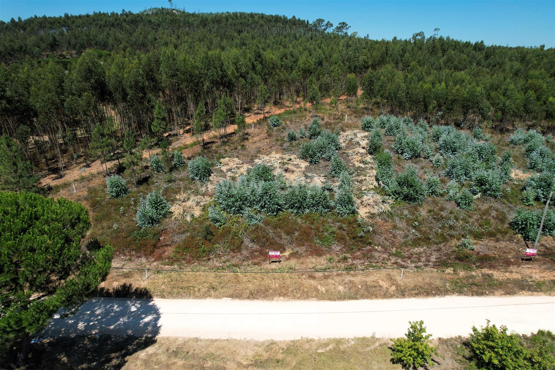 Land for sale in Torres Vedras, Portugal — €80,000