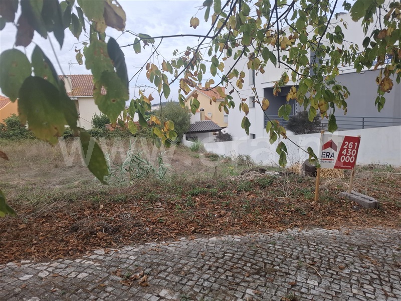 Lote / Torres Vedras, Ramalhal