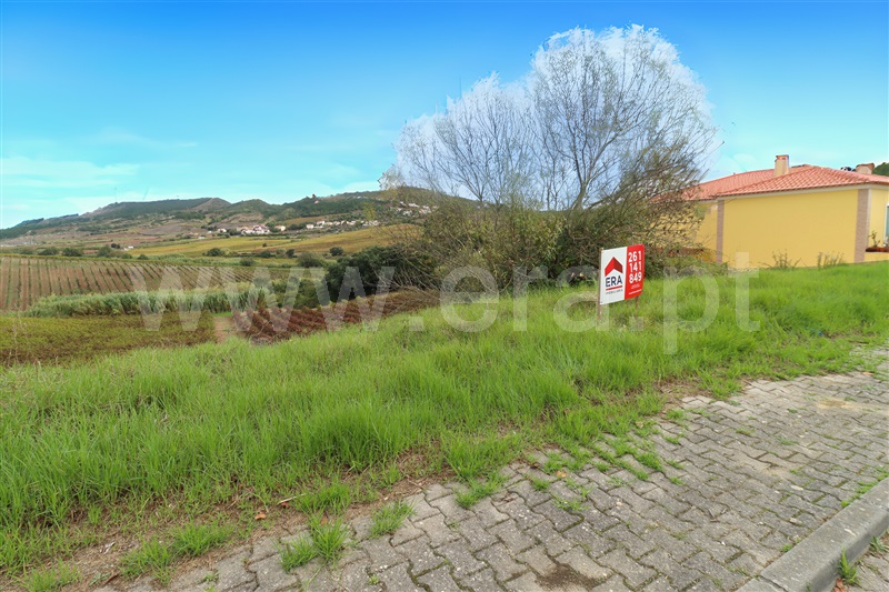 Lote / Torres Vedras, Santa Maria, São Pedro e Matacães