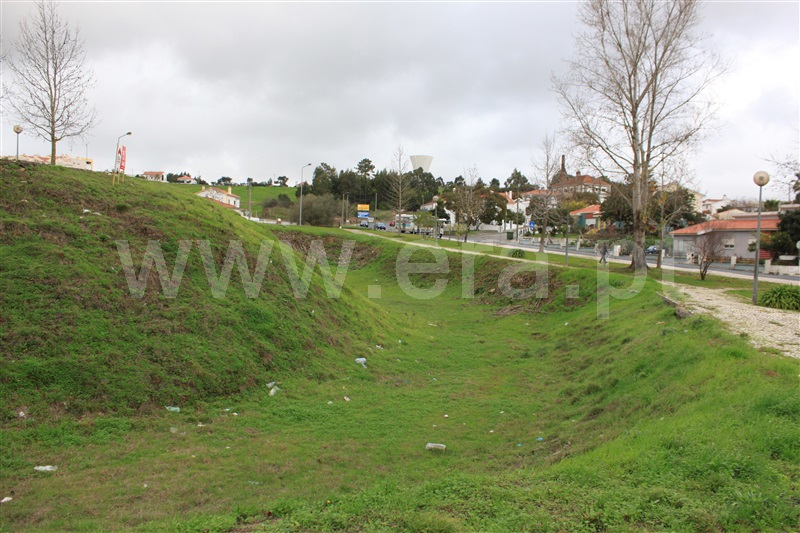 Lote  Torres Vedras, Torres Vedras (São Pedro, Santiago, Santa Maria do Castelo e São Miguel) e Matacães - 790061 - 4