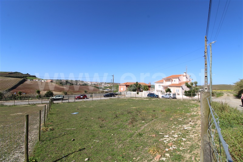 Lote / Torres Vedras, Ventosa