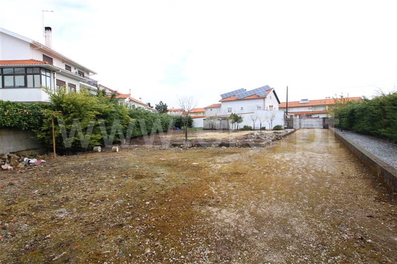 Lote  Trancoso, Trancoso (São Pedro e Santa Maria) e Souto Maior - 1506605 - 14