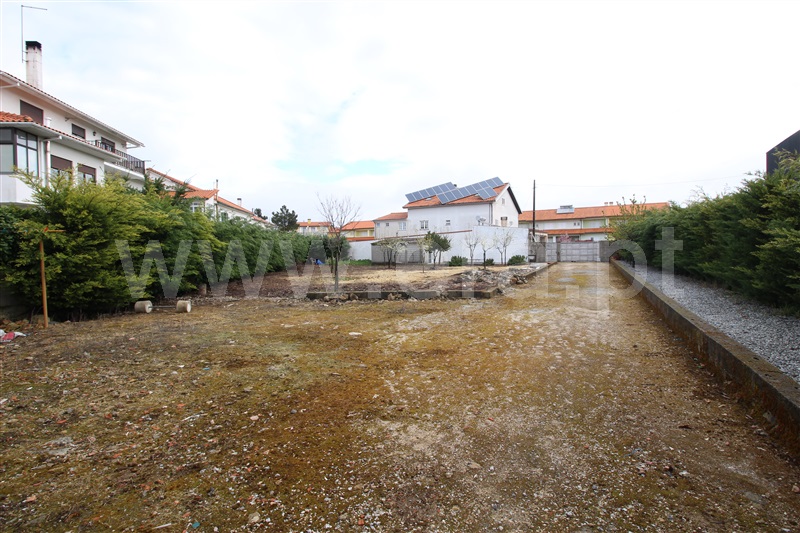 Lote  Trancoso, Trancoso (São Pedro e Santa Maria) e Souto Maior - 1506605 - 15