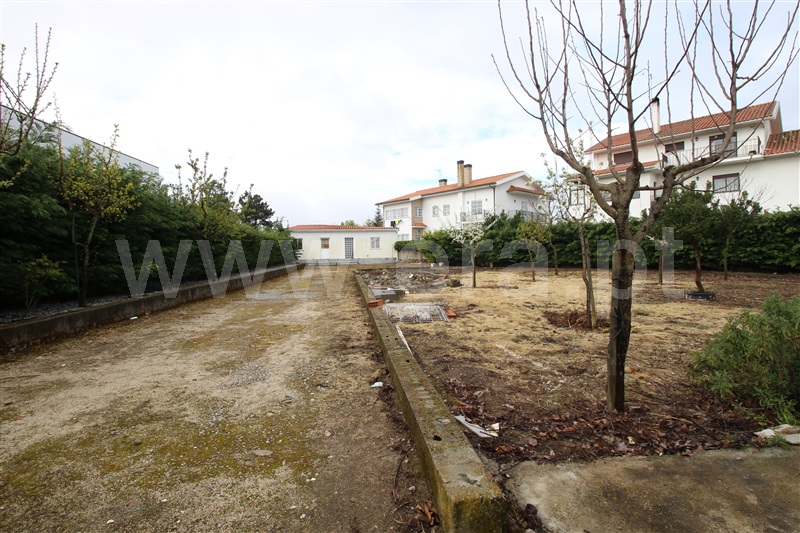 Lote  Trancoso, Trancoso (São Pedro e Santa Maria) e Souto Maior - 1506605 - 18