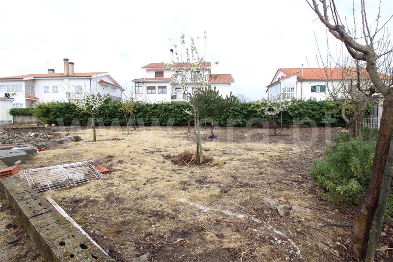 Lote  Trancoso, Trancoso (São Pedro e Santa Maria) e Souto Maior - 1506605 - 19