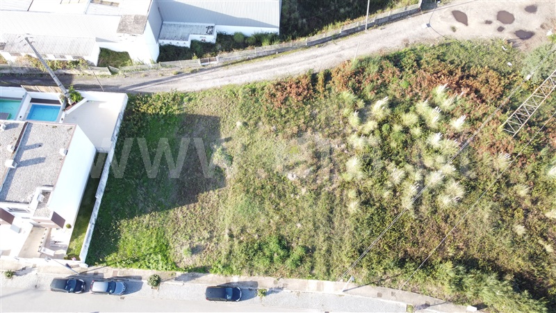 Lote  Trofa, Alvarelhos e Guidões - 1364304 - 3