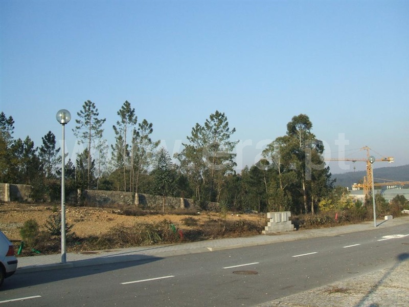 Lote / Trofa, São Romão do Coronado