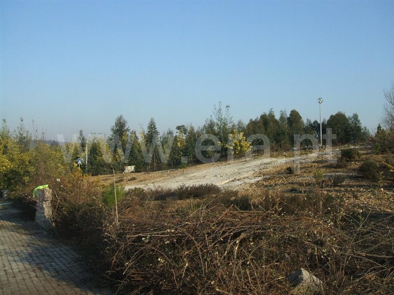Lote  Trofa, São Romão do Coronado - 1252394 - 6