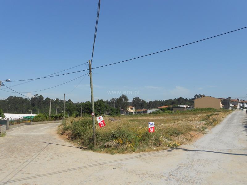 Lote / Trofa, São Romão do Coronado