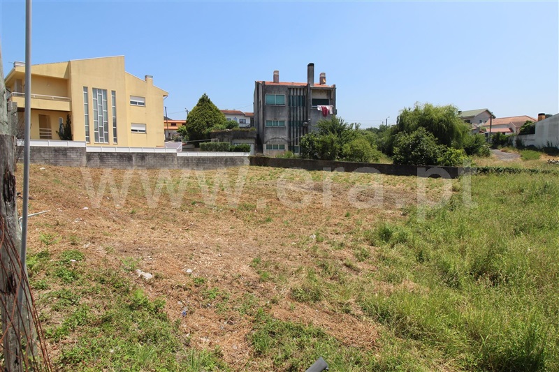 Lote  Valongo, Campo e Sobrado - 1491746 - 2