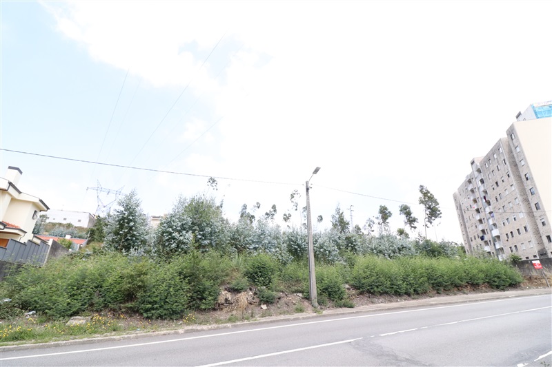 Lote  Valongo - 1021603 - 2