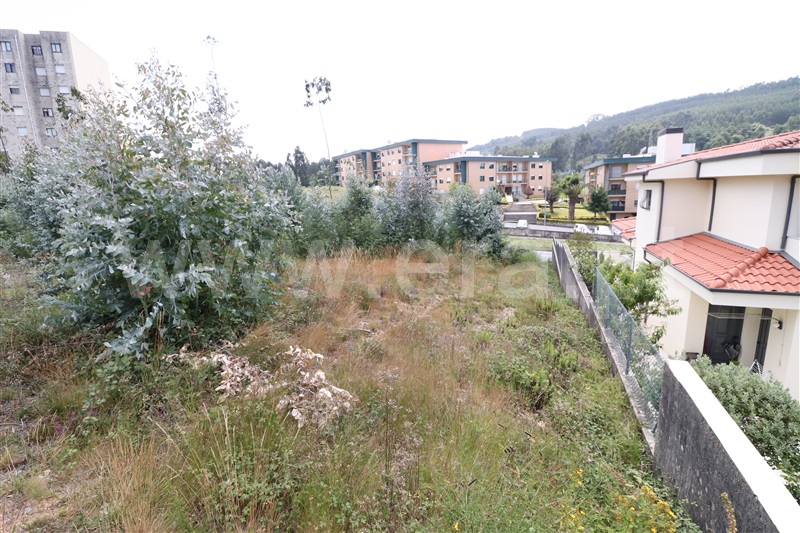 Lote  Valongo - 1021603 - 3