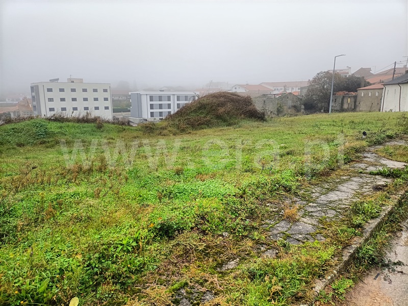 Lote  Valpaços, Carrazedo de Montenegro e Curros - 1366165 - 1